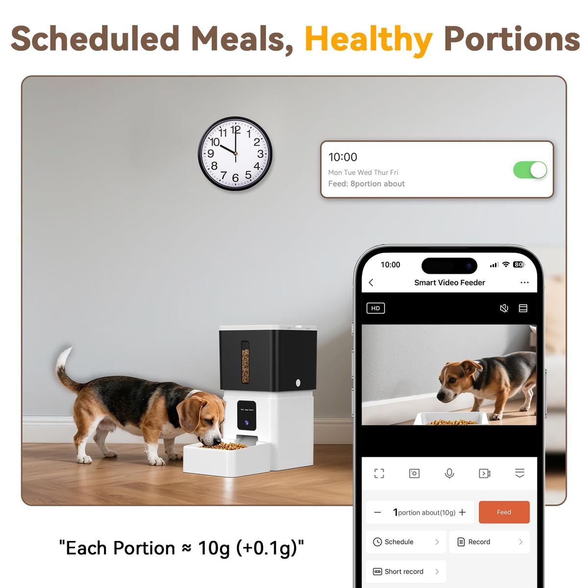 UTCG Automatic Dog Feeder with Camera: 8L/33 Cups 5G WiFi