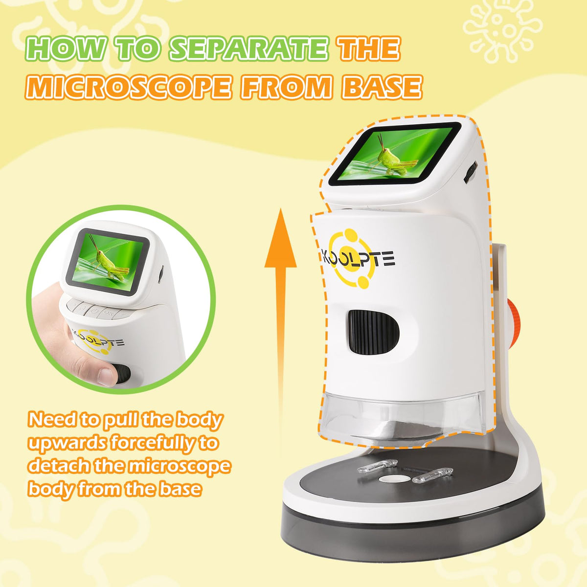 Handheld Digital Microscope for Kids, 1000X, 2.1'' HD LCD Screen