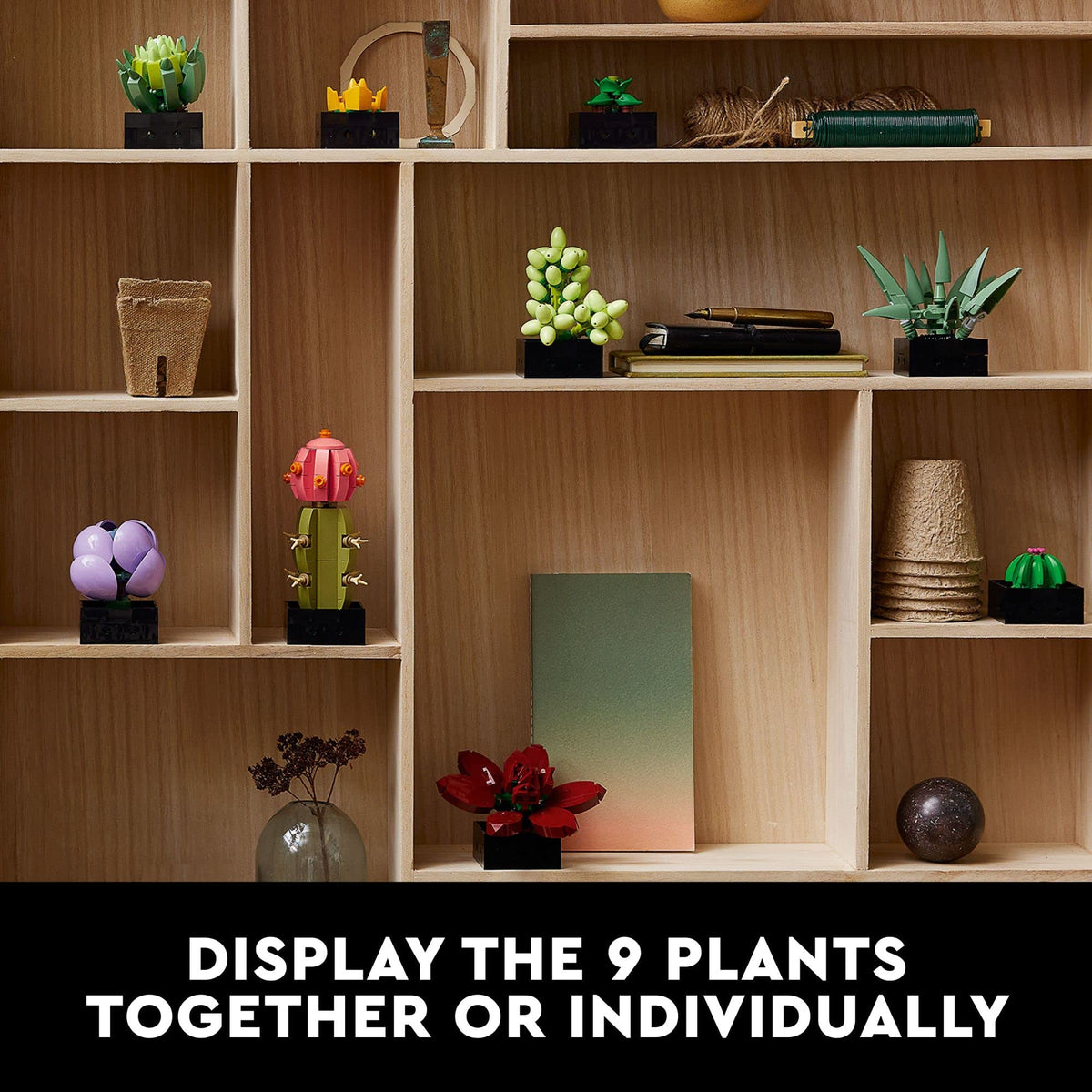 LEGO Botanicals Succulents 10309